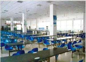 河南微笑餐飲管理公司閃耀中國(guó)食品春晚，榮膺優(yōu)秀品牌彰顯卓越管理